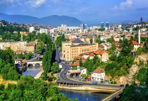Коли под наем Сараево, Босня