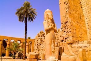 Коли под наем Луксор, Египет