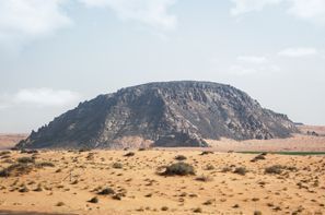 Menyewa kereta di Ha'il, Arab Saudi