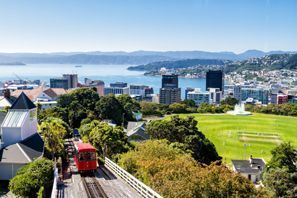 Menyewa kereta di Wellington, New Zealand