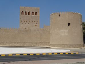 Menyewa kereta di Sohar, Oman